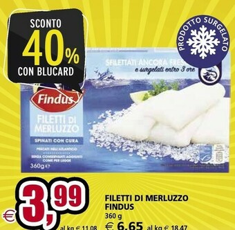 Il Gigante Findus Filetti Di Merluzzo offerta