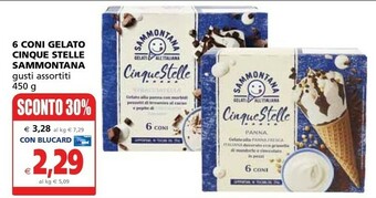 Il Gigante Sammontana Cinque Stelle Panna 6 Coni 450 G(ml) offerta