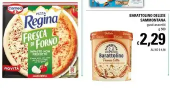 Basko Sammontana Barattolino Delizie Stracciatella 500 G(ml) offerta