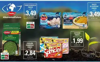 Basko Findus 5 Fiori Di Nasello 250 G(ml) offerta