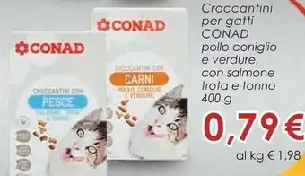Conad Margherita Conad Croccantini Per Gatti offerta