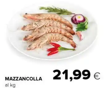 Tigre MAZZANCOLLA offerta