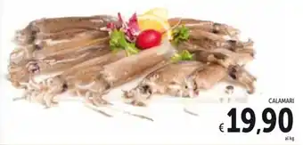 Spazio Conad CALAMARI offerta