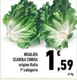 INSALATA SCAROLA CHIUSA