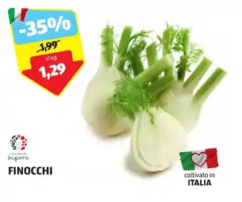 ALDI FINOCCHI offerta