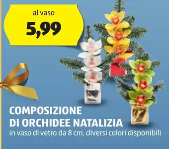 ALDI COMPOSIZIONE DI ORCHIDEE NATALIZIA offerta