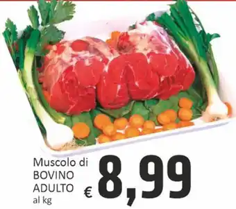 Paghi Poco Muscolo di BOVINO ADULTO offerta