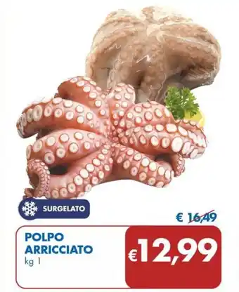 MD Discount POLPO ARRICCIATO kg 1 offerta