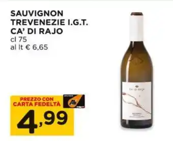 SAUVIGNON TREVENEZIE I.G.T. CA' DI RAJO cl 75