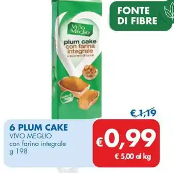 MD Discount 6 PLUM CAKE VIVO MEGLIO con farina integrale g 198 offerta