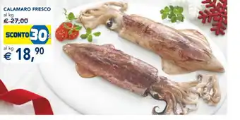 Esselunga CALAMARO FRESCO offerta