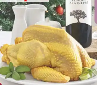 Esselunga CAPPONE NATURAMA offerta