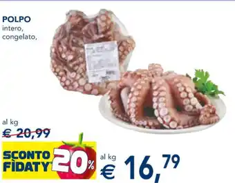 POLPO intero, POLPO intero, congelato,