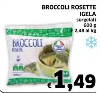 Ecu Discount BROCCOLI ROSETTE IGELA surgelati 600 g offerta