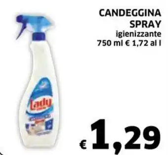 Ecu Discount CANDEGGINA SPRAY igienizzante 750 ml offerta