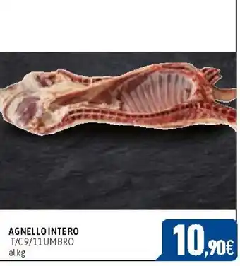 AGNELLO INTERO T/C 9/11 UMBRO