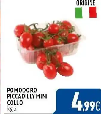 C+C Cash and Carry POMODORO PICCADILLY MINI COLLO kg 2 offerta
