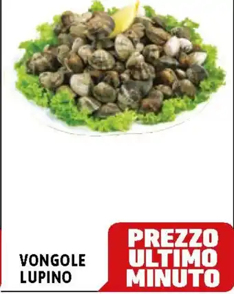 C+C Cash and Carry Vongole LUPINO offerta