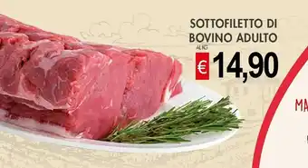 Crai Sottofiletto Di Bovino Adulto offerta