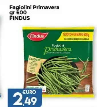 Colonial Sud Findus Fagiolini Pirmavera 600 G offerta