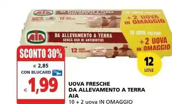 Aia Uova Fresche Da Allevamento A Terra