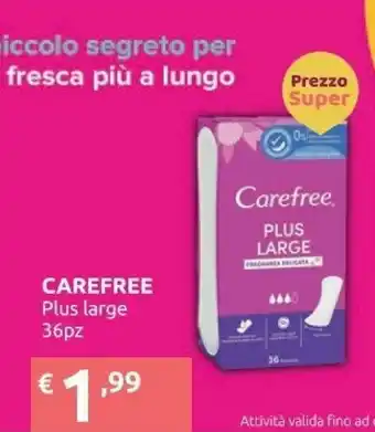 Carefree Plus Large