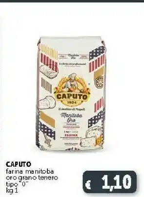 Deco Supermercati Caputo Farina Manitoba Oro Grano Tenero Tipo 0 1 Kg offerta
