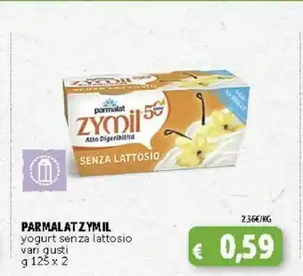 Deco Supermercati Parmalat Zymil Yogurt Senza Lattosio Vaniglia offerta