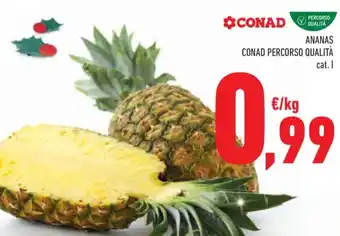 Conad Superstore ANANAS CONAD PERCORSO QUALITÀ offerta
