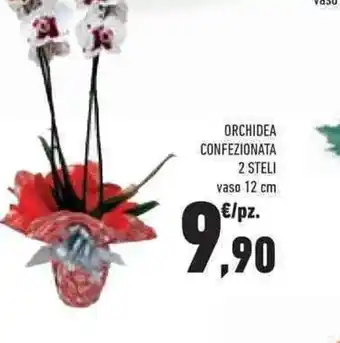 Conad Superstore ORCHIDEA CONFEZIONATA 2 STELI vaso 12 cm offerta