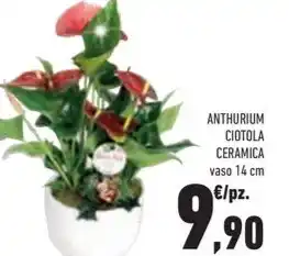 Conad Superstore ANTHURIUM CIOTOLA CERAMICA vaso 14 cm offerta