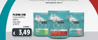Deco Supermercati Purina ONE Junior Cibo Secco Per Gatti Gattino Pollo 800 G offerta