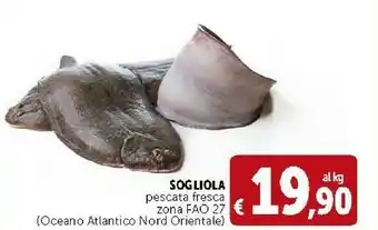 Deco Supermercati Sogliola Pescata Fresca offerta