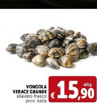 Deco Supermercati Vongola Verace Grande offerta