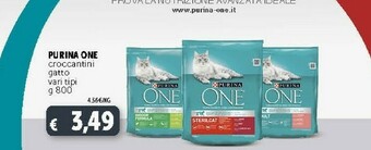 Deco Supermercati Purina ONE Junior Cibo Secco Per Gatti Gattino Pollo 800 G offerta