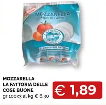 Mercatò Big MOZZARELLA LA FATTORIA DELLE COSE BUONE gr 100x3 offerta