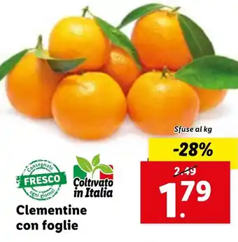 Lidl Clementine con foglie offerta