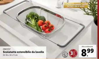 Lidl ERNESTO Scolatutto estensibile da lavello offerta