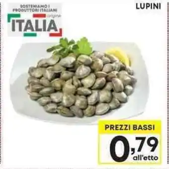 Pam LUPINI offerta