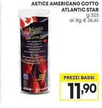 Pam ASTICE AMERICANO COTTO ATLANTIC STAR g 325 offerta