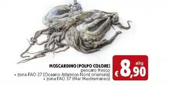 Deco Supermercati Moscardino Polpo Colore offerta