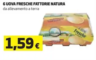 Coop 6 UOVA FRESCHE FATTORIE NATURA da allevamento a terra offerta
