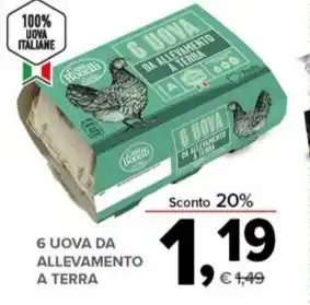 Todis 6 UOVA DA ALLEVAMENTO A TERRA offerta