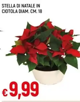 Famila STELLA DI NATALE IN CIOTOLA DIAM. CM. 18 offerta
