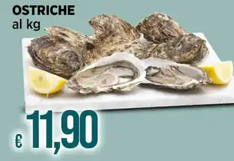 Ipercoop OSTRICHE offerta