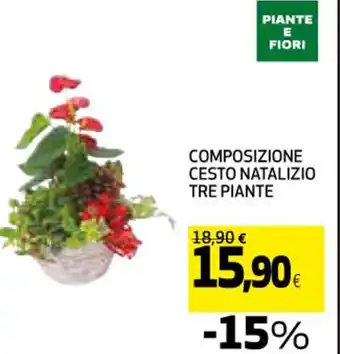 Coop COMPOSIZIONE CESTO NATALIZIO TRE PIANTE offerta