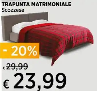 TRAPUNTA MATRIMONIALE Scozzese