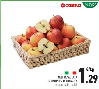 Conad Mele Royal Gala offerta