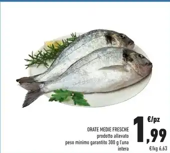 Conad Orate Media Fresche offerta