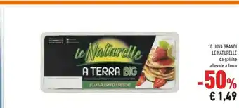 Conad Le Naturelle 10 Uova Fresche Medie offerta